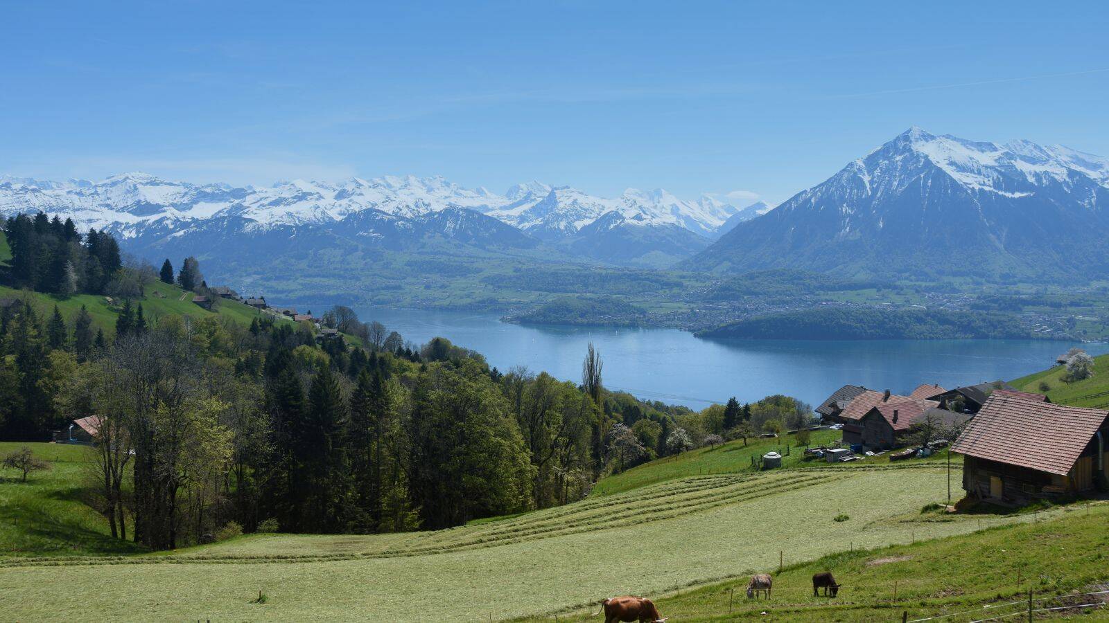 camping-montagne-bord-de-lac-lac-de-la-thoune-poi-th